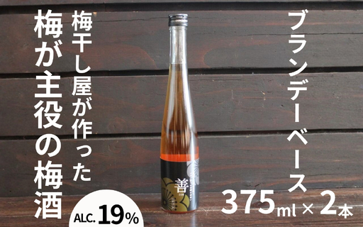 善〜ZEN〜 ブランデー梅酒 375ml×2本/アルコール分:19度 maruni033[maruni033]