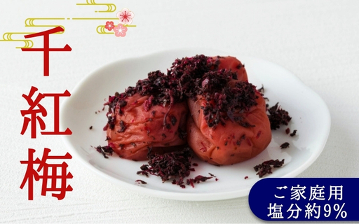 ご家庭用梅干し 千紅梅 500g 塩分約9% / みなべ町 梅干 うめぼし ウメ かつお梅 はちみつ入り はちみつ漬け 家庭用 紀州南高梅 南高梅 簡易包装 お弁当 おにぎり[mrt001]