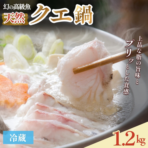 クエ鍋 4人前（アラ600g・身600g）※冷蔵【smr007】