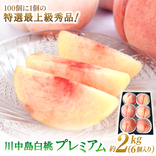 数量限定先行予約!川中島白桃 約2kg 6個入 100個に1個の特選最上級秀品![2026年7月末から8月末順次発送][BK-kgr036]