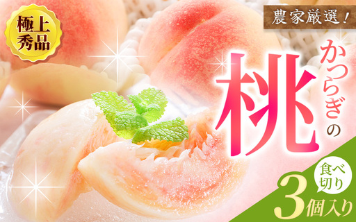 桃 極上秀品 食べきりやすい3個入 [先行予約][2026年6月末から7月末順次発送] [BK001-kgr002]