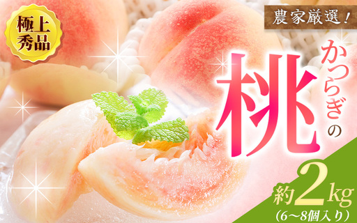 【先行予約】桃 極上秀品 約2kg 6～8個入 【2026年6月下旬頃から7月下旬頃順次発送】 【BK002-kgr001A】