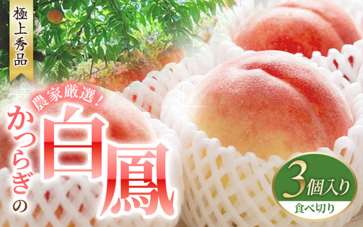 [先行予約][秀品]川中島白桃 食べきりやすい3個入り [2026年7月末頃から順次発送] [BK017-kgr010]