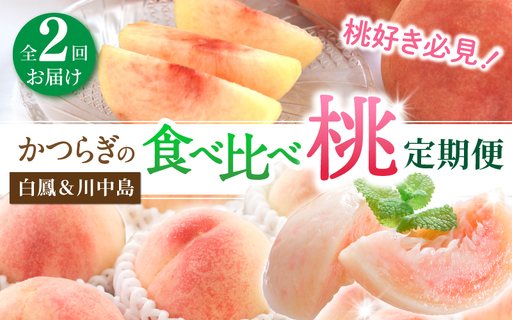 【定期便】桃好き必見！かつらぎの自慢の桃 白鳳＆川中島 食べ比べセット 各約2kg ～全2回お届け～ 【BK-kgr041】
