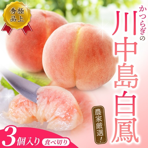 [先行予約][秀品]川中島白桃 食べきりやすい3個入り [2026年7月末頃から順次発送]こだわり 農家厳選[BK016-kgr012]
