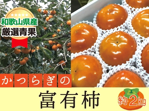 柿 富有柿[秀品]和歌山県産 約2kg [2026年11月中旬から2026年12月上旬発送]|柿 富有柿 フルーツ 果物 [A242-frks136A]