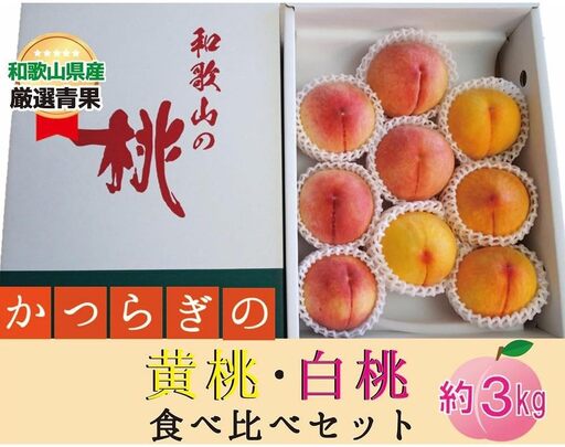 かつらぎの黄桃・白桃食べ比べセット★ 9〜12玉[2026年6月下旬〜2026年8月上旬順次発送]|桃 黄桃 白桃 食べ比べ フルーツ 果物 [A257-frks150]