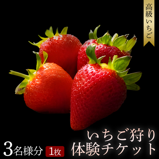 [体験] [開催期間 2027年1月1日〜5月7日] オリジナルいちごと人気ブランドいちごの食べ比べ いちご狩り体験チケット ( 3名様分)[maato004]