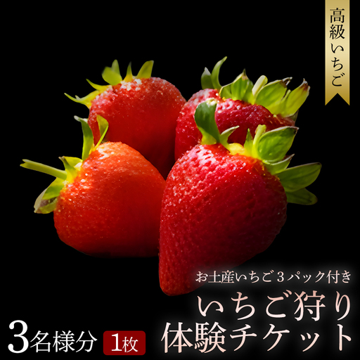 [体験] [開催期間 2027年1月1日〜5月7日] オリジナルいちごと人気ブランドいちごの食べ比べ いちご狩り体験チケット ( 3名様分) +お土産いちご3パック付き[maato008]