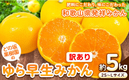 訳あり ゆら 早生 みかん 約 5kg (2S〜Lサイズ) どの坂果樹園[10月中旬-12月上旬頃出荷] 和歌山県 日高川町 みかん ゆら早生 訳あり 旬 柑橘 フルーツ 果物 ミカン 蜜柑 家庭用 わけあり