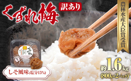 訳あり 紀州南高梅 くずれ梅 うす塩味 1.6kg 農林水産大臣賞受賞[30日以内に出荷予定(土日祝除く)]ウェブセラータクティクス 和歌山県 日高川町 梅干し 塩分 8% 漬け物 ごはんのお供 白ごはん 訳あり梅干し うめぼし