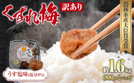 訳あり 紀州南高梅 くずれ梅 しそ風味 1.6kg 農林水産大臣賞受賞[30日以内に出荷予定(土日祝除く)]ウェブセラータクティクス 和歌山県 日高川町 梅干し 塩分 15% 漬け物 ごはんのお供 白ごはん 訳あり梅干し うめぼし