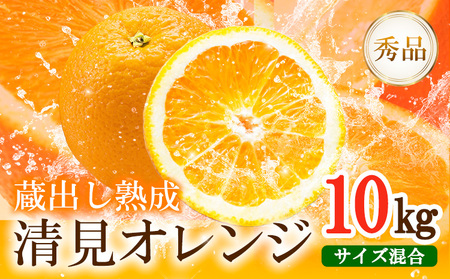 熟成清見オレンジ秀品10kg どの坂果樹園《3月上旬-5月中旬頃出荷》 和歌山県 日高川町 清見オレンジ 旬 柑橘 フルーツ 果物 オレンジ 