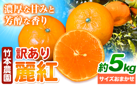 訳あり 麗紅 5kg 竹本農園 柑橘 みかん