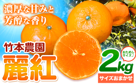 麗紅 (れいこう) 2kg サイズ おまかせ[2026年2月中旬-4月下旬頃出荷]竹本農園 和歌山県 日高川町 旬 新鮮 果物 柑橘 フルーツ 国産 送料無料 お試し サイズ 2000g みかん st-p