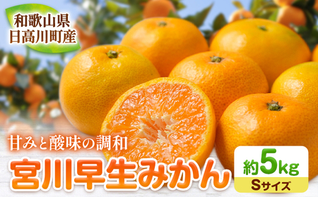 和歌山県産 みかん 約5kg(Sサイズ)冬木農園 [2024年12月上旬‐1月中旬頃出荷予定] 