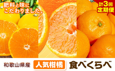 人気柑橘食べくらべ定期便 全3回 計15kg どの坂果樹園[2024年10月中旬-3月上旬頃出荷] 和歌山県 日高川町 みかん 柑橘 不知火 送料無料 ゆら早生みかん 早生みかん 不知火