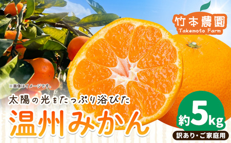 ご家庭用 温州みかん 約 5kg 竹本農園 みかん 柑橘