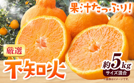 みかん 不知火 厳選 5kg サイズ混合