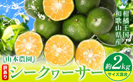 訳あり 和歌山県産 シークヮーサー 約2kg シークヮーサー