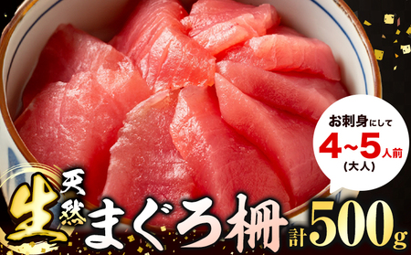 那智勝浦直送 天然生まぐろ 柵 500g 株式会社魚鶴[30日以内に出荷予定(土日祝除く)]和歌山県 日高川町 まぐろ 魚 マグロ 柵 海鮮 鮪 魚介 さかな