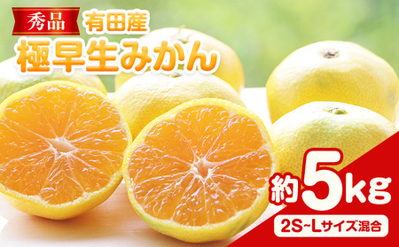 先行予約[秀品]有田産極 早生 みかん 約5kg (2S〜Lサイズ混合) 厳選館[2025年10月上旬-12月中旬頃出荷]和歌山県 日高川町 早生みかん みかん 完熟 柑橘 蜜柑 ミカン フルーツ 果物