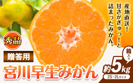 [先行予約]秀品 贈答用 宮川 早生 みかん 約 5kg (2S〜2Lサイズ) 笑いの里のTommyファーム[11月下旬-1月上旬頃出荷]和歌山県 日高川町 みかん 早生 贈答用 旬 柑橘 フルーツ 果物 ミカン 柑 産地直送 箱入り