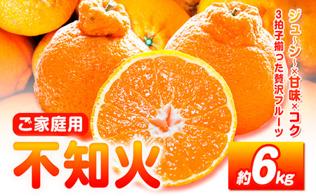 ƒp sm 6kg (2{-3{o)fR| Ɠi