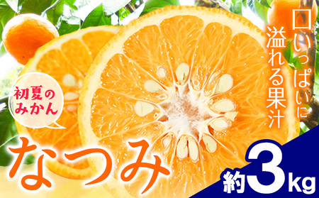 [先行予約]初夏のみかん なつみ 約 3kg 株式会社 魚鶴商店[2026年4中旬-4月下旬頃出荷] 和歌山県 日高川町 みかん なつみ 南津海 柑橘 果物 フルーツ 送料無料