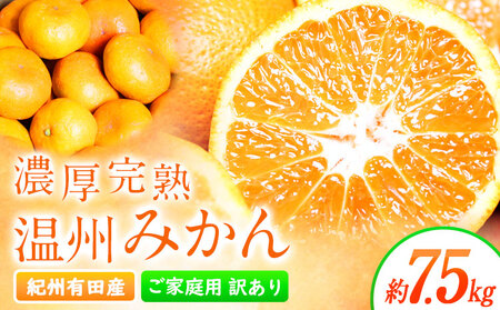 [先行予約][ご家庭用訳アリ] 紀州有田産 濃厚完熟温州みかん 約7.5kg 魚鶴商店[2026年11月下旬-2027年1月下旬頃出荷] 和歌山県 日高川町 みかん 温州みかん 完熟 濃厚 柑橘 ご家庭用