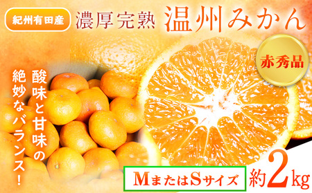 �y��s�\��z�ԏG�i �I�B�L�c�Y �Z�����n���B�݂��� 2kg (M�T�C�Y�܂���S�T�C�Y) ���ߏ��X�s2026�N11�����{-2027�N1�����{���o�ׁt�a�̎R�� �����쒬 �݂��� �~�J�� ���� �t���[�c ���k