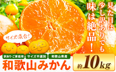 [ふるなび限定]和歌山 みかん 訳あり約10kg(11月上旬-12月末頃出荷)