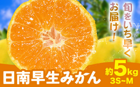 みかん 日南早生みかん 約5kg 3S-Mサイズ