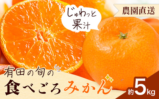 「農園直送」有田の旬の食べごろ みかん 約5kg