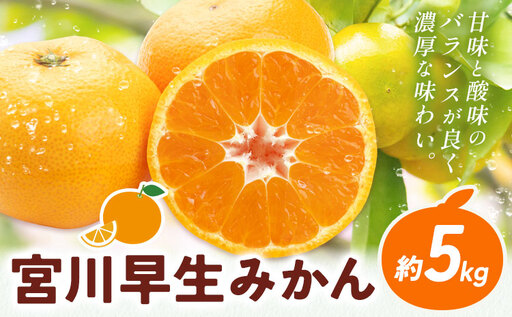 みかん 宮川早生みかん 約5kg