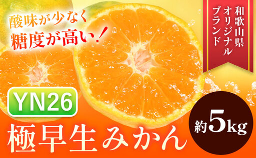 みかん 極早生みかん YN26 約5kg