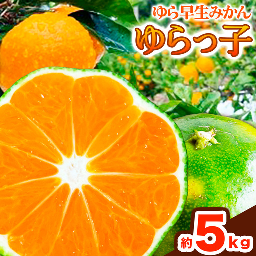 ゆら早生 みかん「ゆらっ子」 約5kg JA紀州産直店 さわやか日高(日高川町)みかん