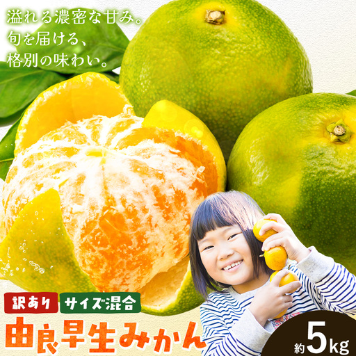 訳あり みかん 由良 早生みかん ご家庭用 約5kg エイワ商店