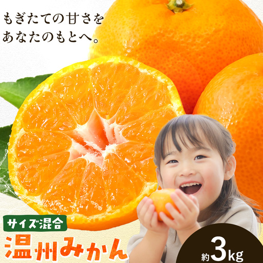 みかん 温州 みかん 約3kg エイワ商店