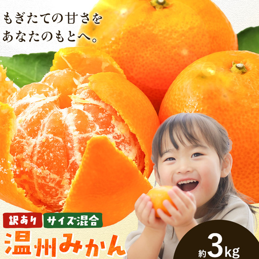 訳あり みかん 温州 みかん ご家庭用 約3kg エイワ商店 柑橘