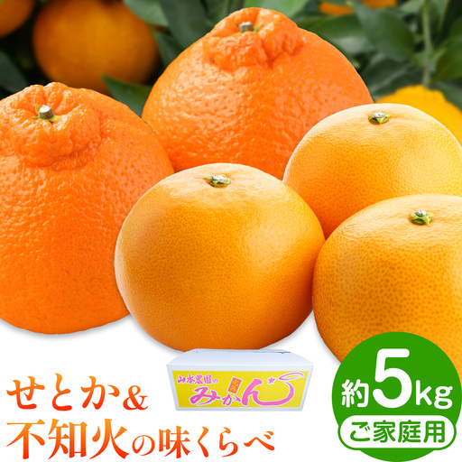 せとか&不知火の味くらべ 約5kg
