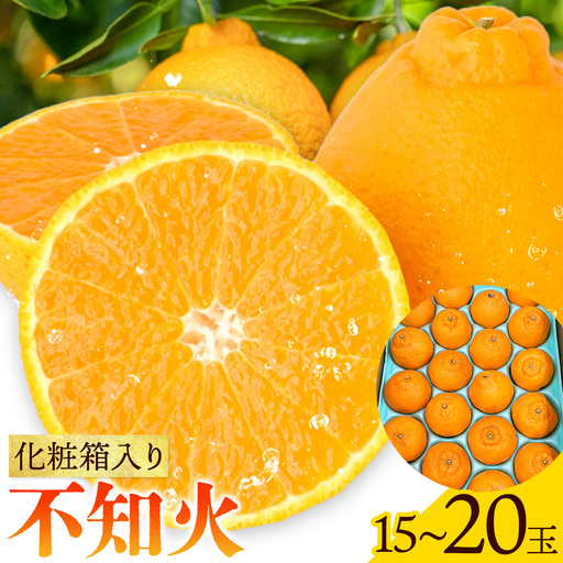 化粧箱入り 不知火 15〜20玉入り エイワ商店