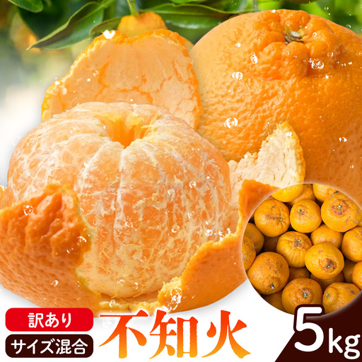訳あり 不知火 サイズ混合 5kg エイワ商店