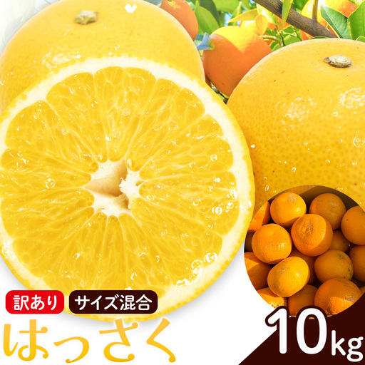 訳あり はっさく サイズ混合 10kg エイワ商店