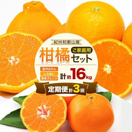 紀州 和歌山産 旬の ご家庭用 柑橘 セット M (みかん 不知火 清見)[全3回] 株式会社魚鶴
