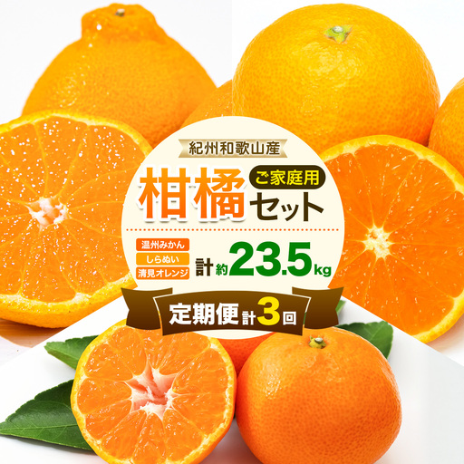 紀州 和歌山産 旬の ご家庭用 柑橘 セット L  (みかん 不知火 清見)【全３回】 株式会社魚鶴