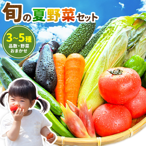 旬 の 夏野菜 セット 3〜5種類 浦西自然農園 野菜