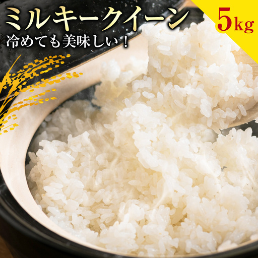 お米 ミルキークイーン 約5kg 精米