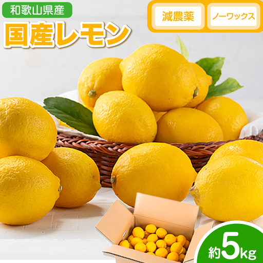 国産 レモン 約5kg ノーワックスレモン