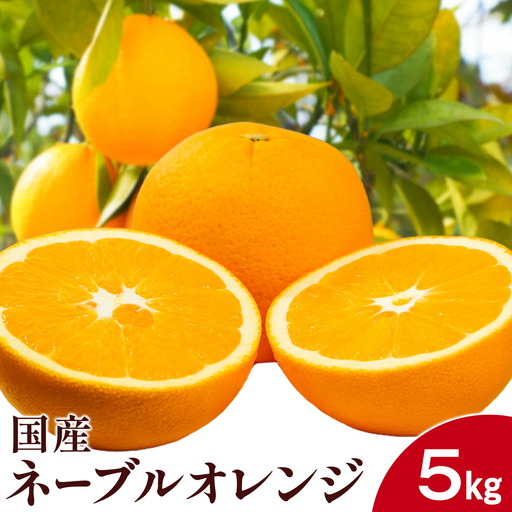 国産ネーブルオレンジ 5kg エイワ商店 オレンジ